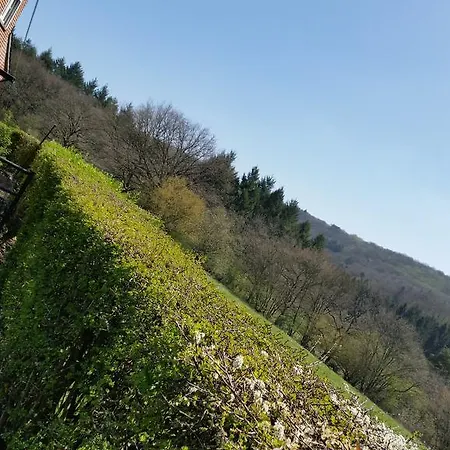 Casa rural Le Petit Spimont Fleuri