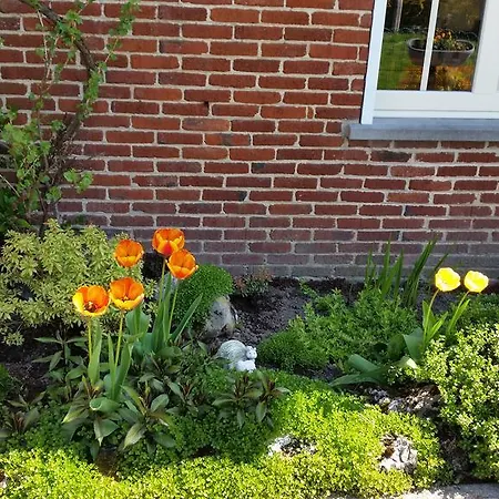 Le Petit Spimont Fleuri *